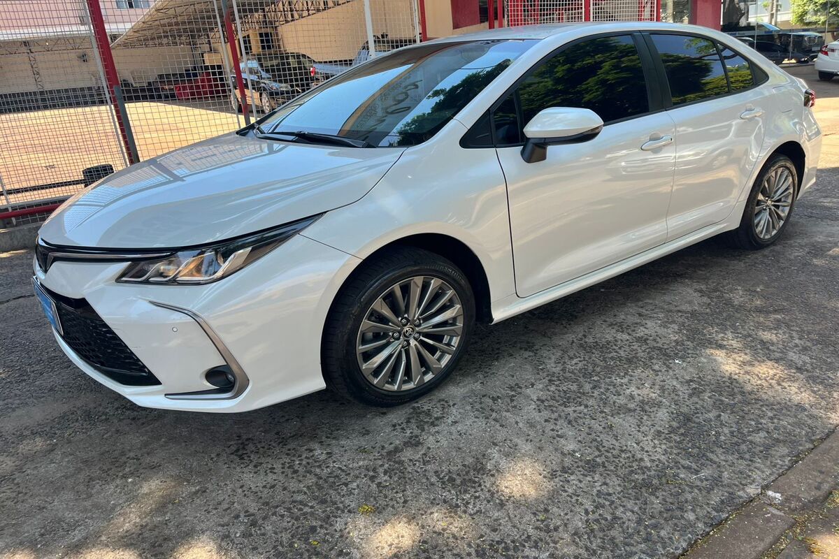 WhatsApp Image 2026-04-07 at 21.14.08